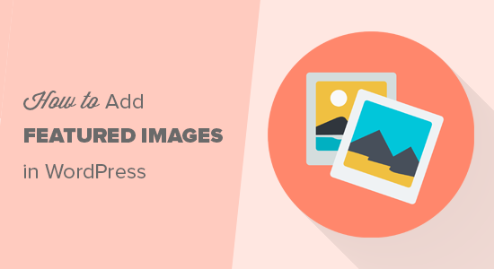 HOW TO ADD FEATURED IMAGES OR POST THUMBNAILS IN WORDPRESS  How to Add Featured Images or Post Thumbnails in WordPress