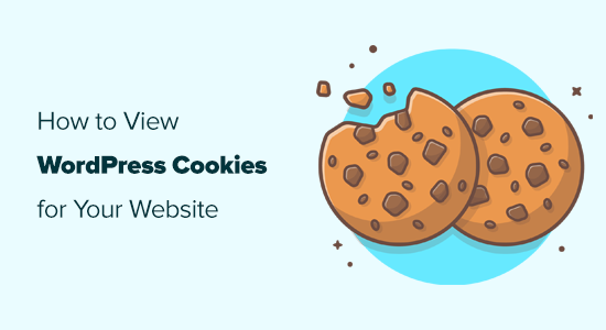 How to Know if Your WordPress Website Uses Cookies